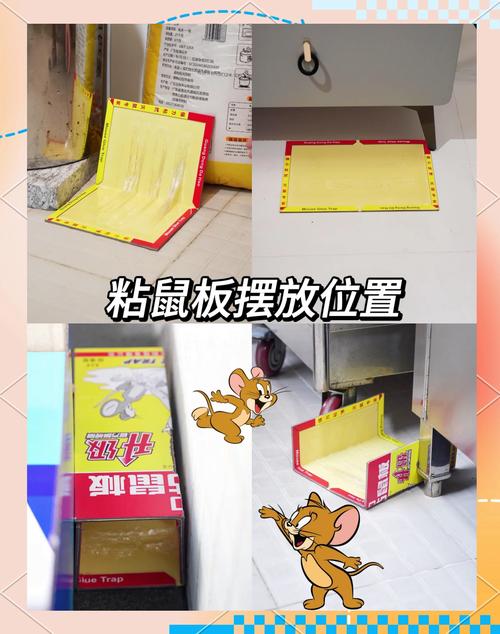 粘鼠板使用全攻略 選對位置與方法，輕松高效滅鼠